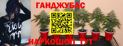 гашишное масло Михайловка